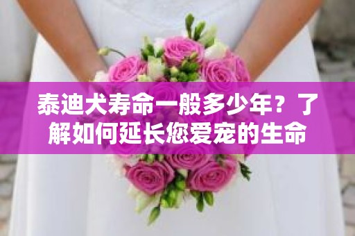 泰迪犬寿命一般多少年？了解如何延长您爱宠的生命