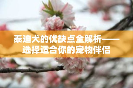 泰迪犬的优缺点全解析——选择适合你的宠物伴侣