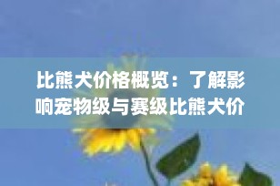 比熊犬价格概览：了解影响宠物级与赛级比熊犬价格的因素