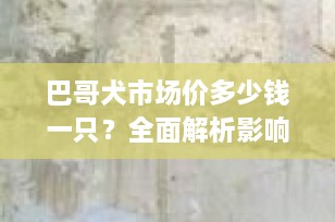 巴哥犬市场价多少钱一只？全面解析影响价格的因素与选购指南