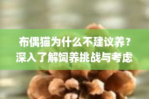 布偶猫为什么不建议养？深入了解饲养挑战与考虑因素