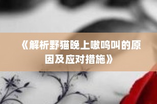 《解析野猫晚上嗷呜叫的原因及应对措施》