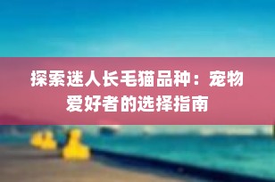 探索迷人长毛猫品种：宠物爱好者的选择指南