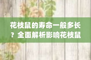 花枝鼠的寿命一般多长？全面解析影响花枝鼠寿命的关键因素
