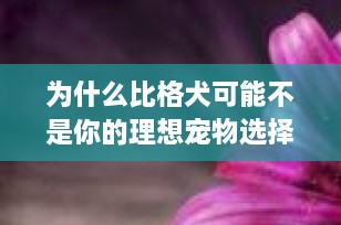 为什么比格犬可能不是你的理想宠物选择？