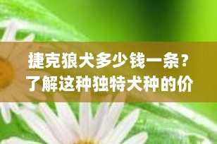 捷克狼犬多少钱一条？了解这种独特犬种的价格与养护成本
