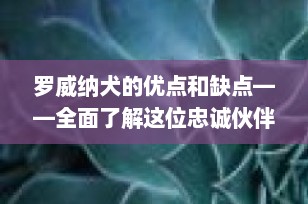 罗威纳犬的优点和缺点——全面了解这位忠诚伙伴