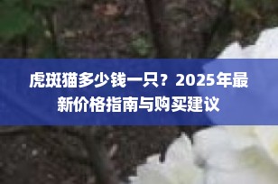 虎斑猫多少钱一只？2025年最新价格指南与购买建议