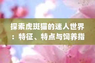 探索虎斑猫的迷人世界：特征、特点与饲养指南
