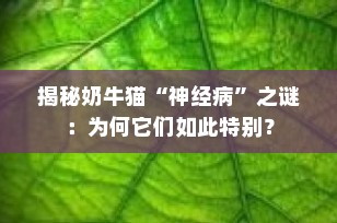 揭秘奶牛猫“神经病”之谜：为何它们如此特别？