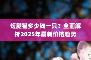 短腿猫多少钱一只？全面解析2025年最新价格趋势