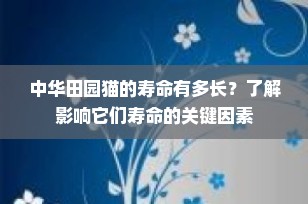 中华田园猫的寿命有多长？了解影响它们寿命的关键因素