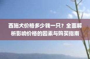 西施犬价格多少钱一只？全面解析影响价格的因素与购买指南