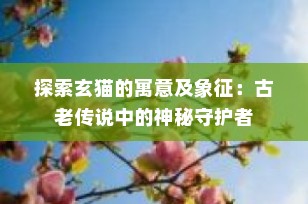 探索玄猫的寓意及象征：古老传说中的神秘守护者