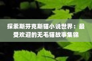 探索斯芬克斯猫小说世界：最受欢迎的无毛猫故事集锦
