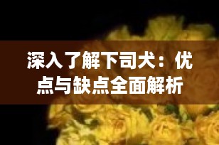 深入了解下司犬：优点与缺点全面解析