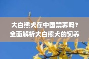 大白熊犬在中国禁养吗？全面解析大白熊犬的饲养政策
