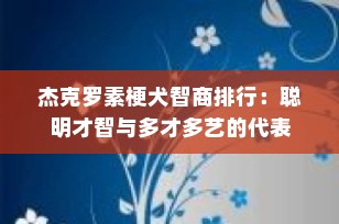 杰克罗素梗犬智商排行：聪明才智与多才多艺的代表