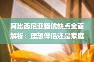 阿比西尼亚猫优缺点全面解析：理想伴侣还是家庭挑战？