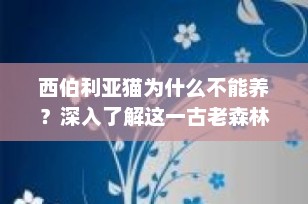西伯利亚猫为什么不能养？深入了解这一古老森林猫的饲养挑战
