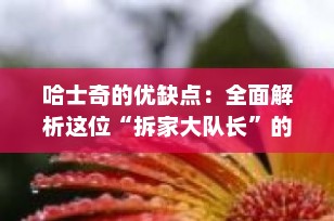 哈士奇的优缺点：全面解析这位“拆家大队长”的魅力与挑战