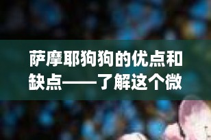 萨摩耶狗狗的优点和缺点——了解这个微笑天使的全部