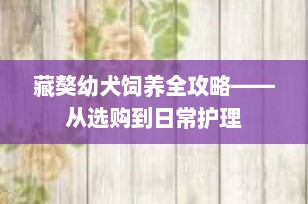 藏獒幼犬饲养全攻略——从选购到日常护理