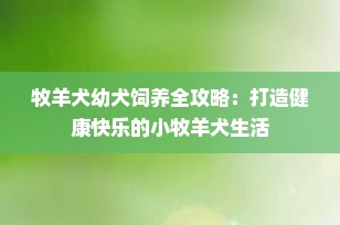 牧羊犬幼犬饲养全攻略：打造健康快乐的小牧羊犬生活
