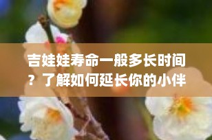吉娃娃寿命一般多长时间？了解如何延长你的小伴侣的生命