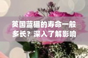 英国蓝猫的寿命一般多长？深入了解影响英短蓝猫寿命的关键因素