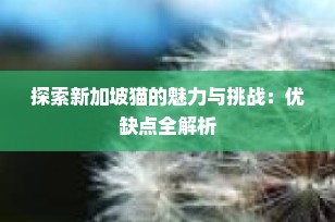 探索新加坡猫的魅力与挑战：优缺点全解析