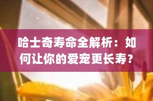 哈士奇寿命全解析：如何让你的爱宠更长寿？