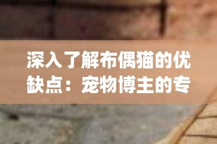深入了解布偶猫的优缺点：宠物博主的专业指南