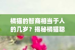 橘猫的智商相当于人的几岁？揭秘橘猫聪明才智背后的秘密