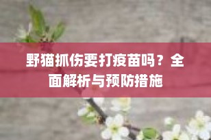 野猫抓伤要打疫苗吗？全面解析与预防措施