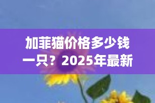 加菲猫价格多少钱一只？2025年最新市场行情全解析