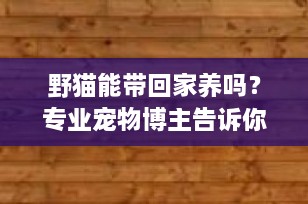 野猫能带回家养吗？专业宠物博主告诉你需要注意什么
