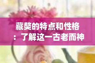 藏獒的特点和性格：了解这一古老而神秘的犬种