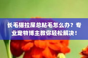 长毛猫拉屎总粘毛怎么办？专业宠物博主教你轻松解决！