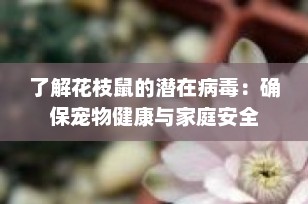 了解花枝鼠的潜在病毒：确保宠物健康与家庭安全
