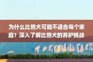 为什么比熊犬可能不适合每个家庭？深入了解比熊犬的养护挑战