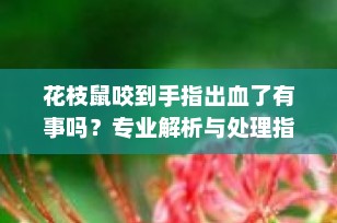 花枝鼠咬到手指出血了有事吗？专业解析与处理指南