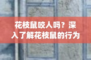 花枝鼠咬人吗？深入了解花枝鼠的行为习惯与防范措施