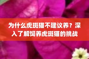 为什么虎斑猫不建议养？深入了解饲养虎斑猫的挑战与考量