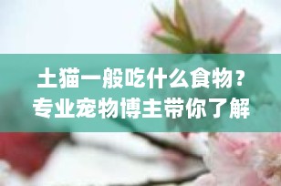 土猫一般吃什么食物？专业宠物博主带你了解中华田园猫的饮食需求