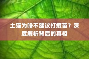 土猫为啥不建议打疫苗？深度解析背后的真相