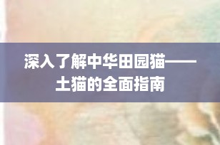 深入了解中华田园猫——土猫的全面指南