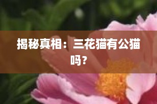 揭秘真相：三花猫有公猫吗？