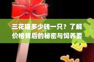 三花猫多少钱一只？了解价格背后的秘密与饲养要点