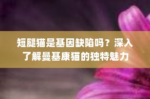 短腿猫是基因缺陷吗？深入了解曼基康猫的独特魅力